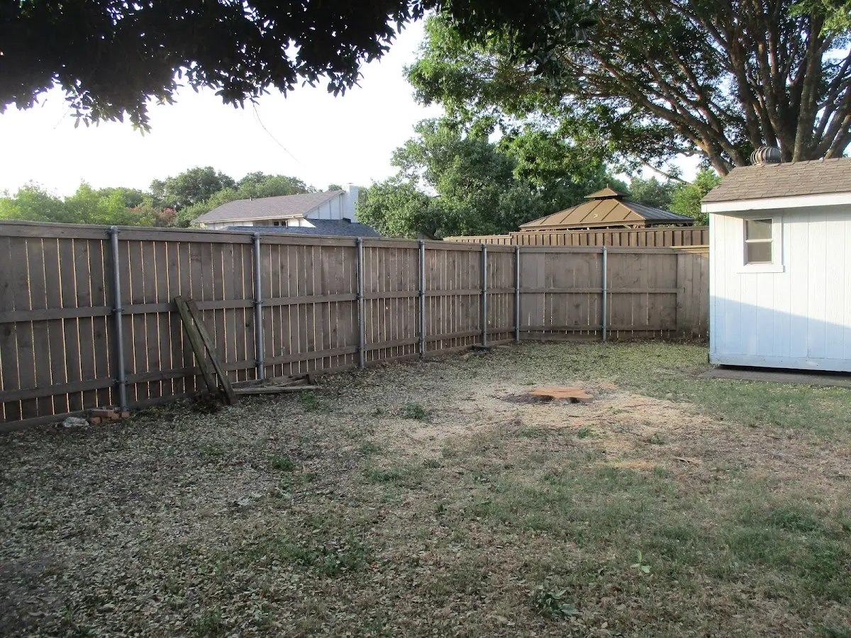 Cleared yard after professional tree removal in Wellesley Island